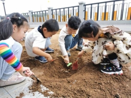 种树 (1)