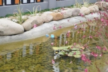 水灯2