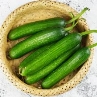 F:\2023玉振路资料\食谱图集\水果黄瓜.jpg水果黄瓜