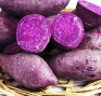 G:\2023.9玉振路资料\食谱图集\紫薯.jpg紫薯