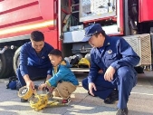 IMG_20231107_151132