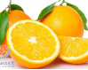 C:/Users/baojianshi/Desktop/保健资料/2023.9玉振路资料/食谱logo图集/橙子.png橙子