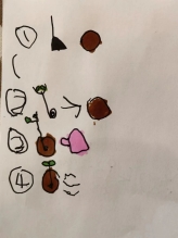 65
