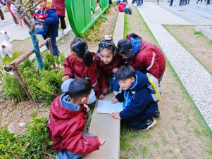 Image_24097951938150