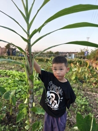 6ad8fc52089b12259c5e253e5b4dd9ac