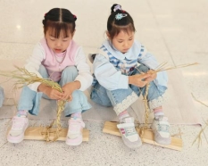 79d68bbe7194717c4b64f840931f6551