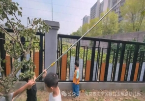 微信图片_2025-12-08_210440_179