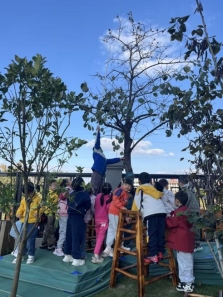 ec8267f6a7535b1b41011d8246691f2a