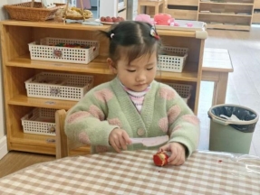 913b05783ece2ec9757cf788e2ffb363