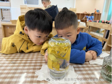 微信图片_2025-12-08_214210_045